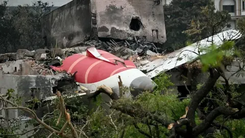 Relatives of the Air India tragedy those lost sue aviation firms Honeywell and Boeing